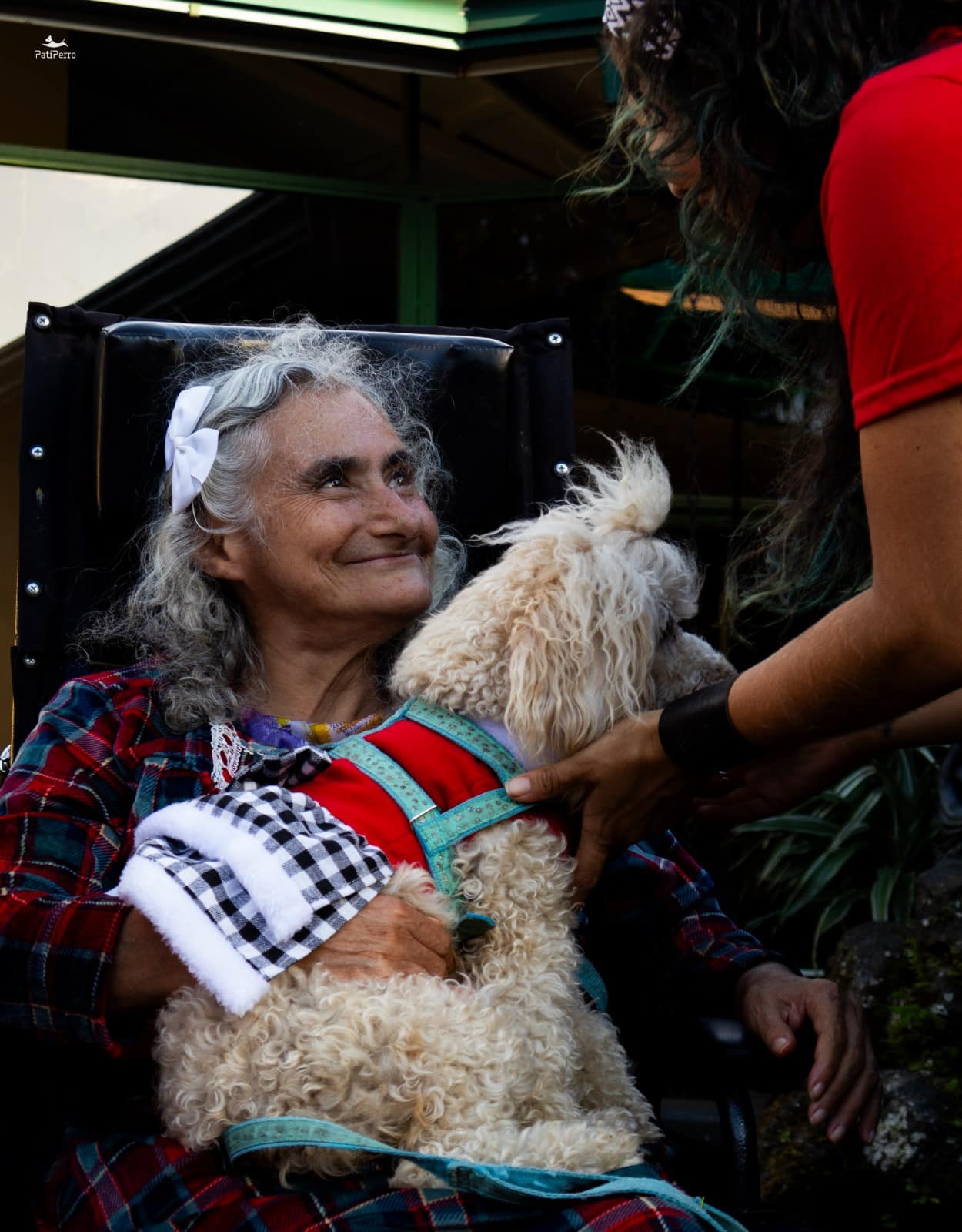 Adulta mayor sonriendo con poodle terapeuta
